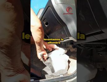 Cada cuánto revisar los desagües en climas húmedos