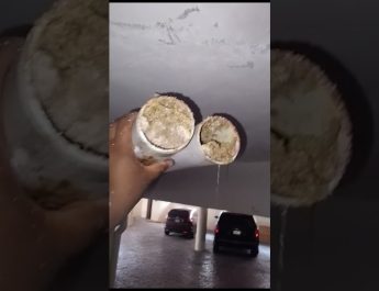 Cómo reducir residuos en fregaderos domésticos